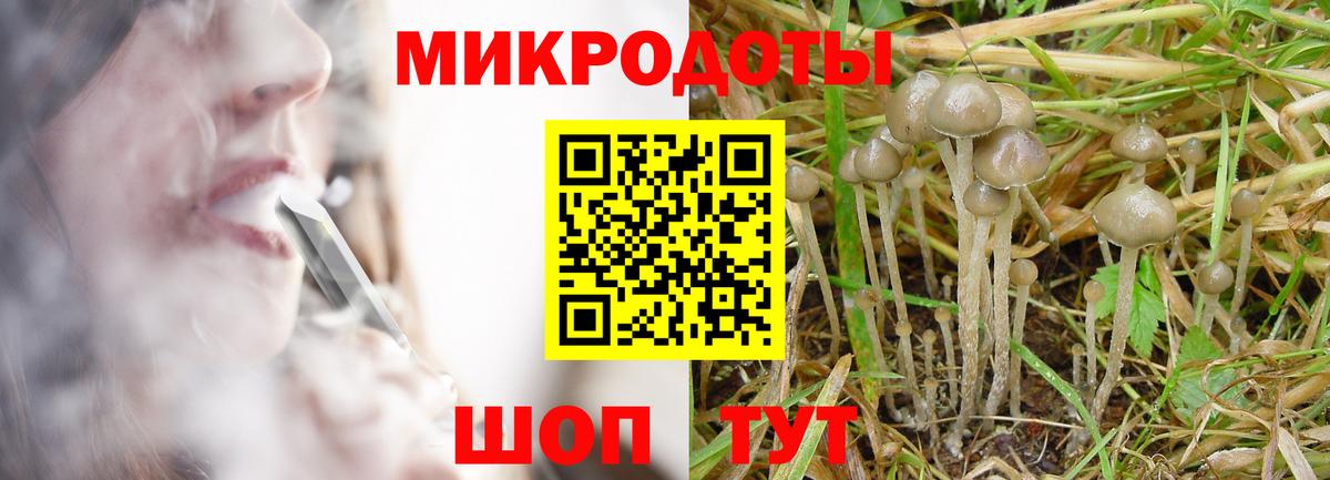 сколько стоит  Псилоцибиновые грибы GOLDEN TEACHER  Вход с VPN  Нерюнгри 