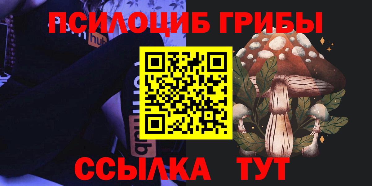 Псилоцибиновые грибы мицелий Нерюнгри